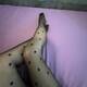 gambette